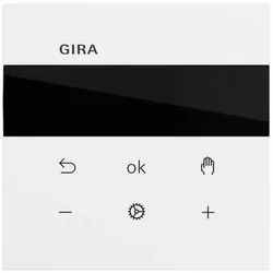 Gira S3000 RTR Display System 539372