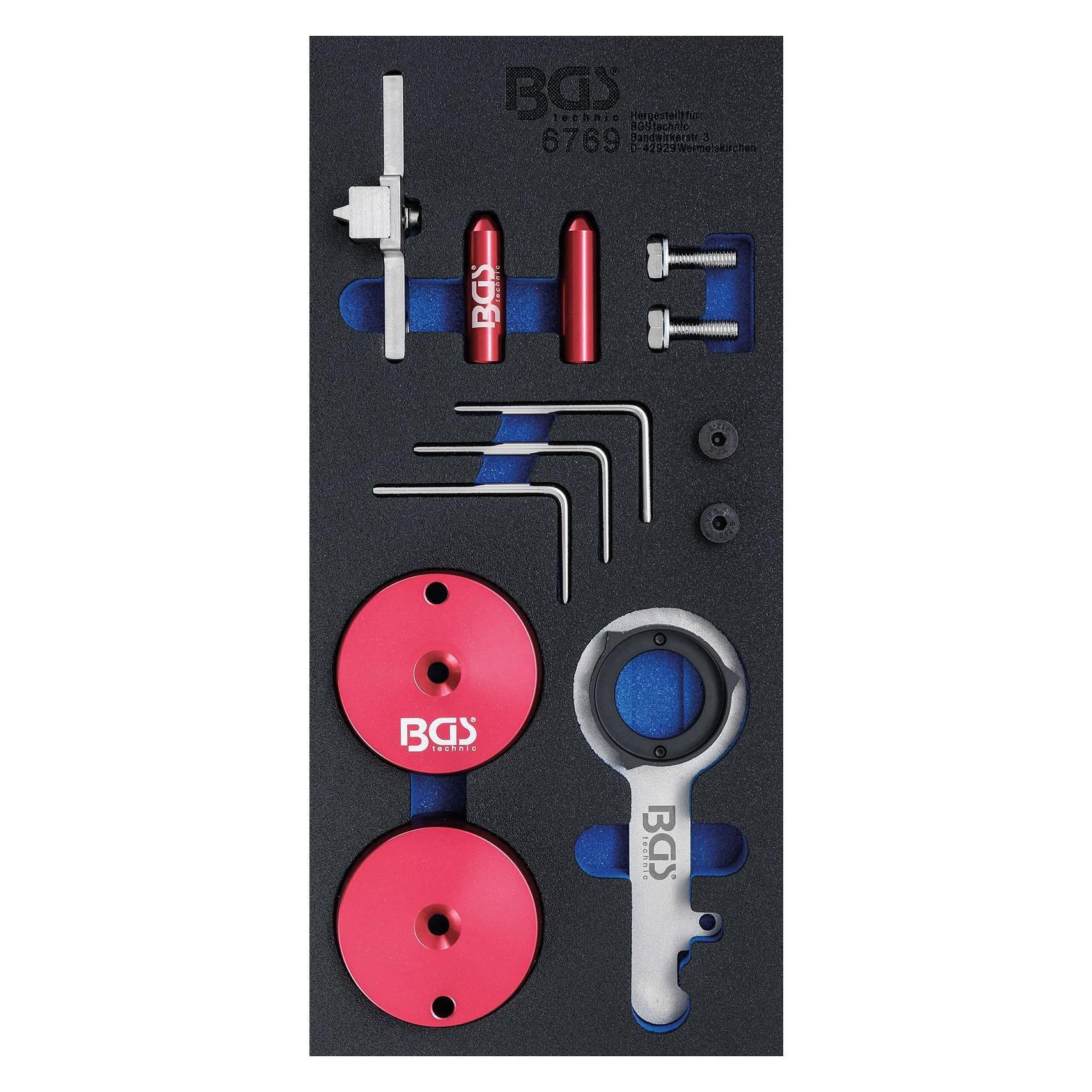 BGS Werkstattwageneinlage (6769)