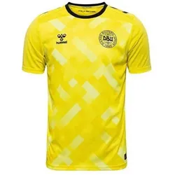 hummel, Herren, Fussballtrikot, Torwarttrikot Dänemark 2024 (XL), Gelb