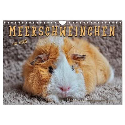 Meerschweinchen - so süß (Wandkalender 2027 DIN A4 quer), CALVENDO Monatskalender
