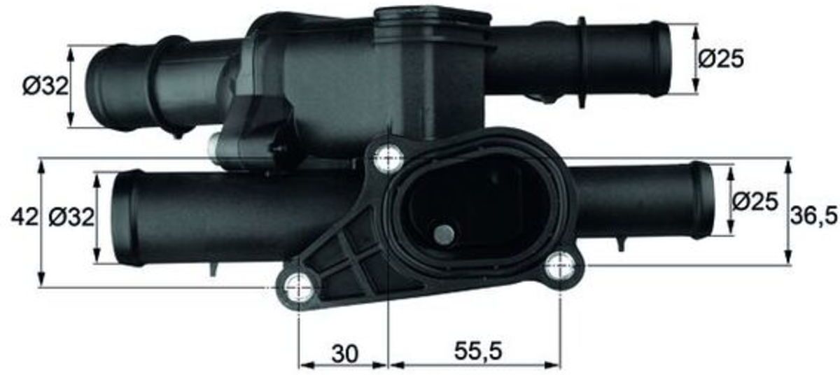 Thermostat d'eau MAHLE TM 2 105