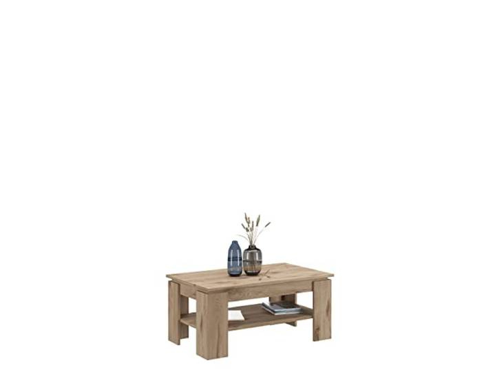 xonox.home - Couchtisch Titan 100x45x60 cm in Nox Oak - Tisch Wohnzimmertisch Sofatisch Beistelltisch mit Ablageboden - modern und funktional