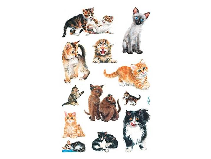AVERY Zweckform 53574 Kinderstickers Katten 36 Stickers