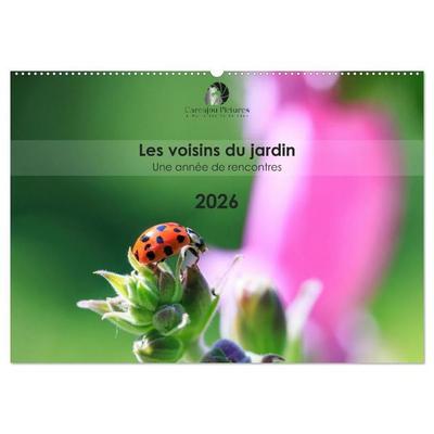 Les voisins du jardin - Une année de rencontres (Calendrier mural 2027 DIN A2 vertical), CALVENDO calendrier mensuel