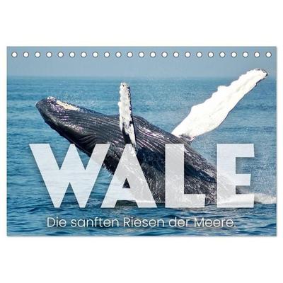 Wale - Die Riesen der Meere. (Tischkalender 2027 DIN A5 quer), CALVENDO Monatskalender