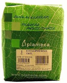 Plameca Thyme Bunches Whole 1 Kg