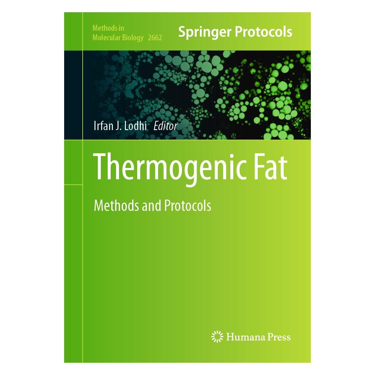Springer Thermogenic Fat (Englisch, Hardcover, Irfan J. Lodhi) (9781071631669)