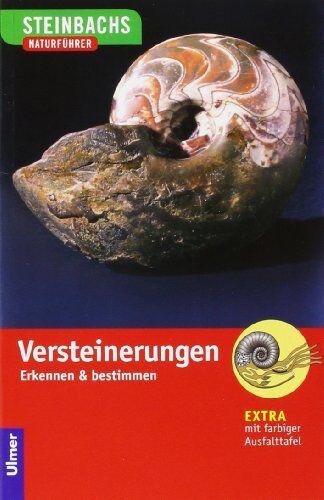 Gerhard Lichter - Steinbachs Naturführer. Versteinerungen - Preis vom 09.10.2026 07:28:09 h