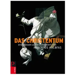 Das Christentum, Fachbücher von Hubertus Halbfas