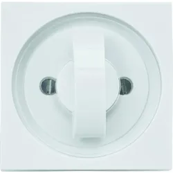 Rademacher 70000038 Gira Abdeckplatte mit Symbolscheibe UW 2656-UW 2656UW