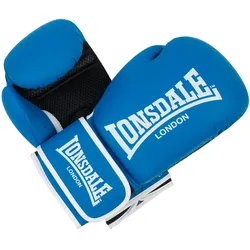 Lonsdale Boxhandschuhe aus Kunstleder ASHDON
