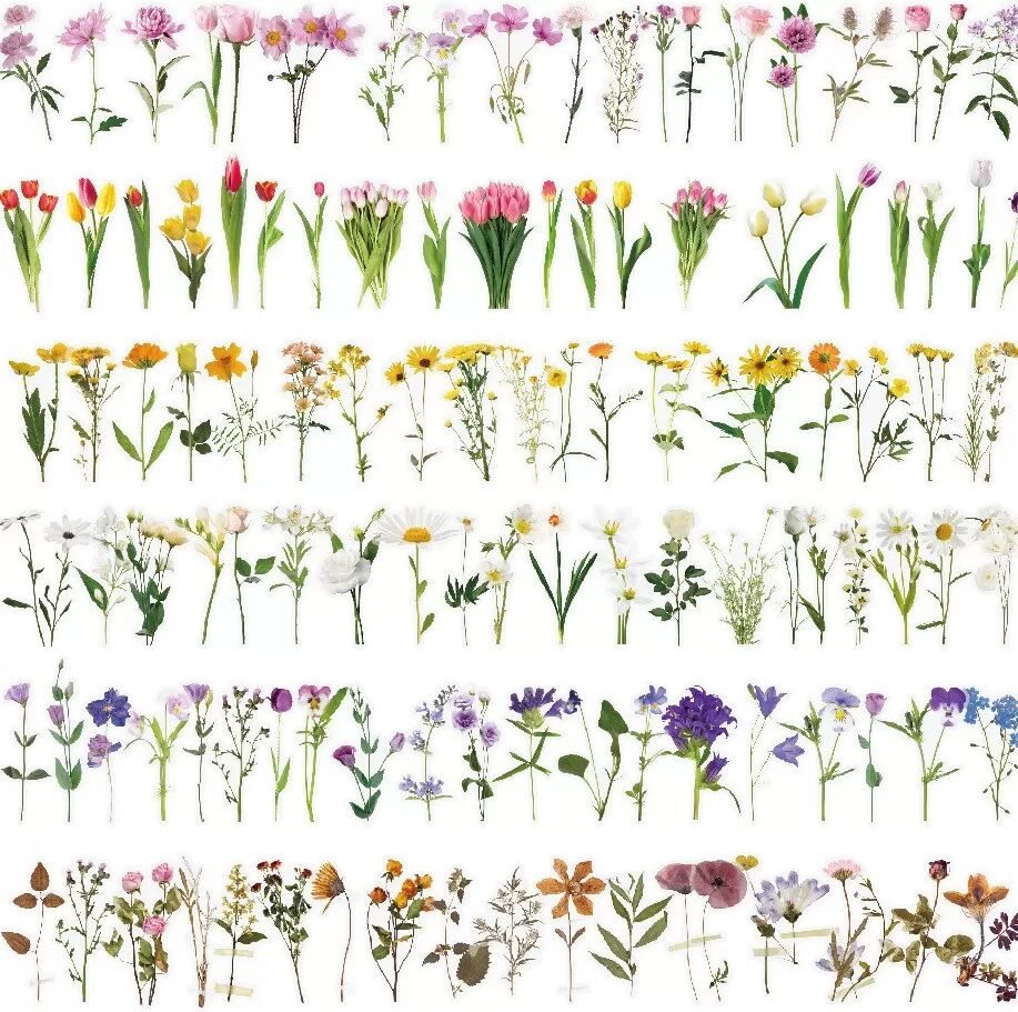 INF Transparente Blumenaufkleber für DIY-Journaling Mehrfarbig 1