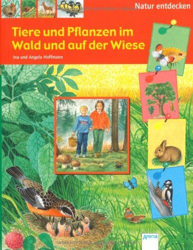 Ina Hoffmann - Tiere und Pflanzen im Wald und auf der Wiese: Natur entdecken - Preis vom 10.10.2026 11:48:34 h