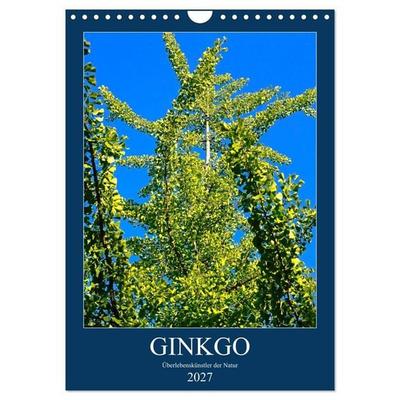 Ginkgo (Wandkalender 2027 DIN A4 hoch), CALVENDO Monatskalender