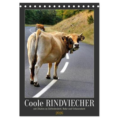 Coole Rindviecher (Tischkalender 2026 DIN A5 hoch), CALVENDO Monatskalender