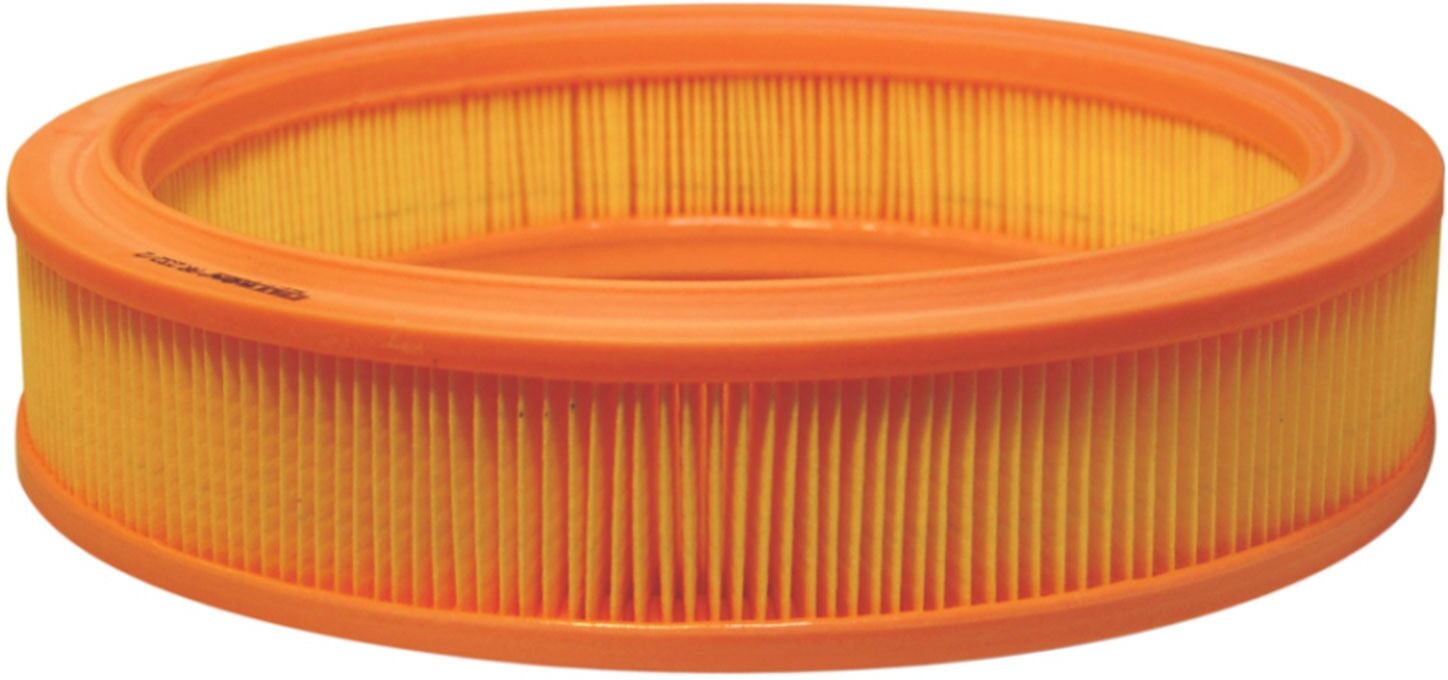 FILTRON AR 232/2 Air filter