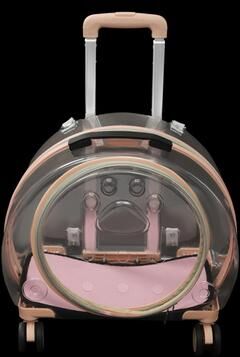 All Categories Goods Rolling Wheels Pet Carrier, Transparent & Fully Breathable For Traveling Rolling Wheels Pet Carrier, Transparent & Fully Breathable For Traveling