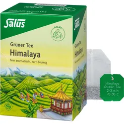 Grüner Tee Himalaya Bio Salus 15 ST