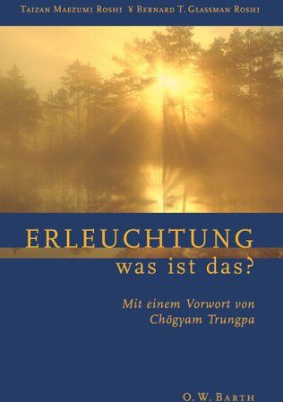 Taizan Maezumi - Erleuchtung, was ist das? - Preis vom 13.10.2026 19:28:25 h
