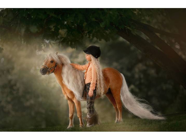 Fototapete PAPERMOON PALOMINO MINIATURE PFERD-MÄDCHEN WINTER TIER PONY MINI , bunt, B:1,5m L:1,11m, Vlies, Tapeten, Fototapete