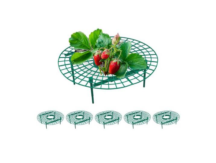 Relaxdays Steun aardbeien set van 6