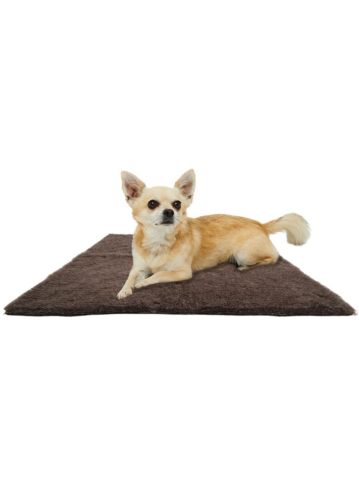 Active Canis Braunes Vetbed 100x150cm groß