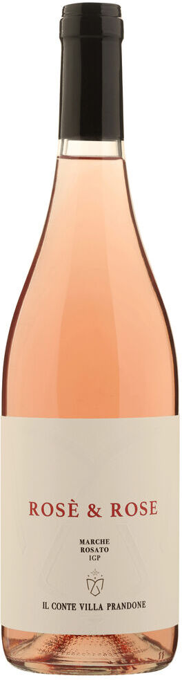 Il Conte Rosè & Rose Marche Rosato IGP 2025 Il Conte Villa Prandone