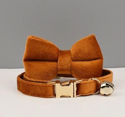 Inspired Finds ElegantPaws Personalized Bowknot Cat Collar With Free Custom Engraving amber Rust l
