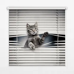 INNENROLLO - Fensterrollo - Rollo - 90x180 cm - Katze