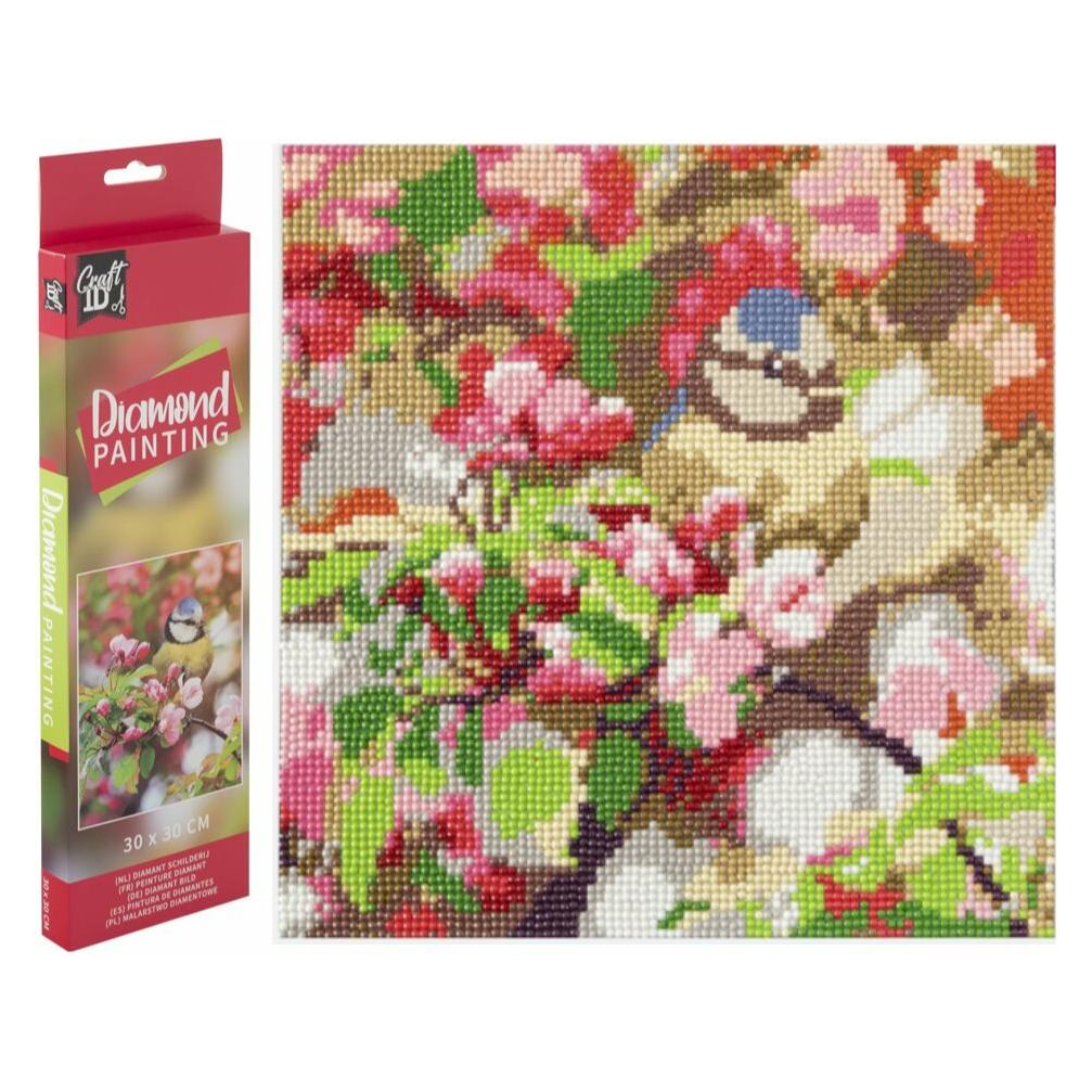 ICOM Diamantmalerei - Vogel 30x30cm (CR2098/23GE1)