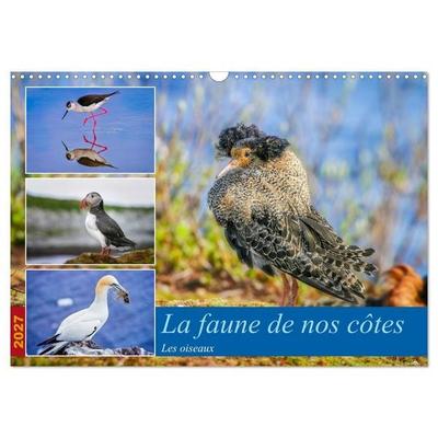 La faune de nos côtes les oiseaux (Calendrier mural 2027 DIN A3 vertical), CALVENDO calendrier mensuel
