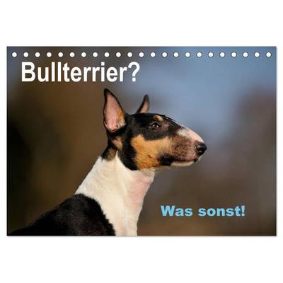 Bullterrier? Was sonst! (Tischkalender 2026 DIN A5 quer), CALVENDO Monatskalender