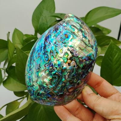 Uplift Picks Abalone Shell Smudge Kit Paua Shell Sage Smudging Bowl With Stand g