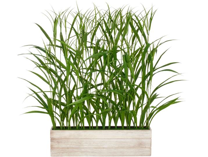 Kunstgras CREATIV GREEN Raumteiler Gras , grün, B:72cm H:120cm T:15cm, Kunststoff, Kunstpflanzen, Kunstgras, mit filigranen Grashalmen