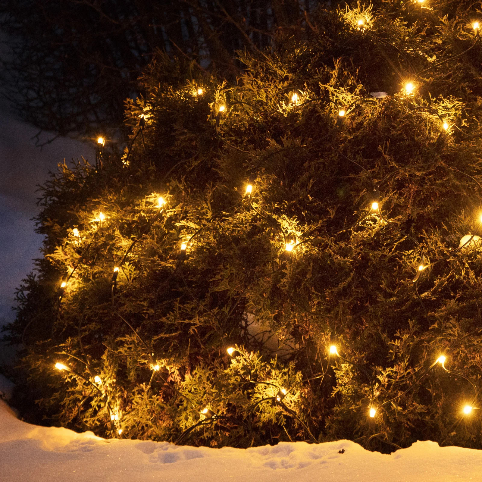 Markslöjd Chrissline Extra Original lichtnet met 100 leds en 2300 K