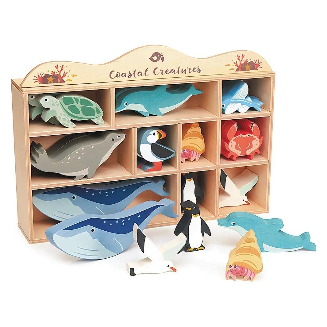 Tender Leaf Toys Meerestiere Display (TL8478)