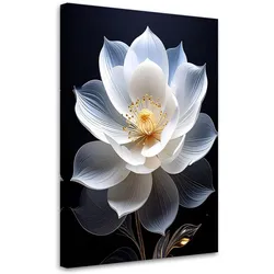 LEINWANDBILD, Große zarte weiße Blume auf schwarzem Hintergrund