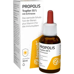 beecraft PROPOLIS Tropfen 55 % mit Echinacea 30 ml Tropfen