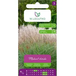 Chinesischer Miscanthus