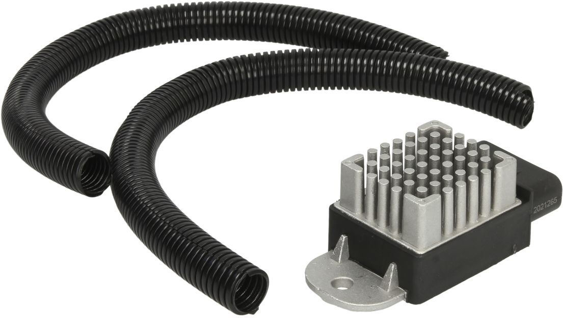 Standard Interruttore temperatura, ventola del radiatore RY448 STD