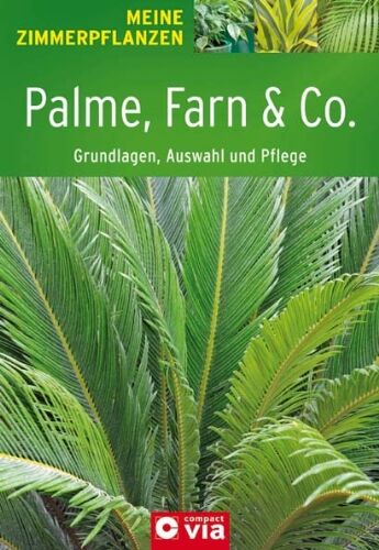 Palme, Farn & Co.: Grundlagen, Auswahl und Pflege - Preis vom 04.10.2026 03:51:26 h