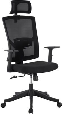 Garvee High Back Ergonomic Office Chair, Adjustable Lumbar Support and Headrest