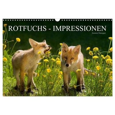 Rotfuchs - Impressionen (Wandkalender 2027 DIN A3 quer), CALVENDO Monatskalender