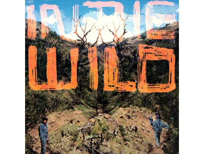 In The Wild (Dlcd)