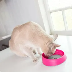LickiMat OH Bowl - Schlecknapf für Katzen - pink