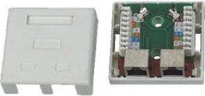 DATACOM STP wandcontactdoos Cat5e met 2 x RJ45 aansluitingen