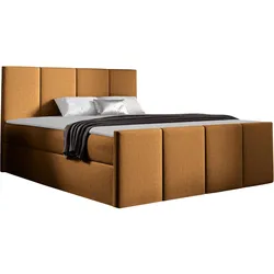 BOXBETT Lars - H3