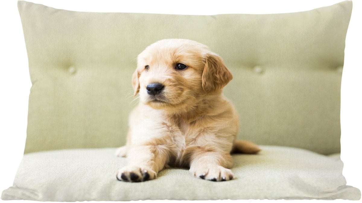 Katoenen sierkussen met Golden Retriever puppy liggend op de bank - 60 x 40 cm