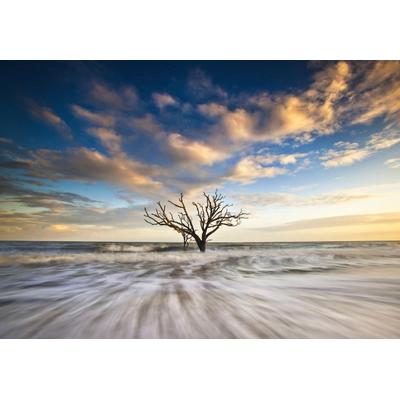 Fototapete PAPERMOON "Baum in Landschaft", bunt, B:3m L:2,23m, Vlies, Tapeten