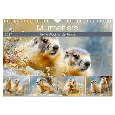 Murmeltiere. Kleine Wächter der Berge (Wandkalender 2027 DIN A4 quer), CALVENDO Monatskalender
